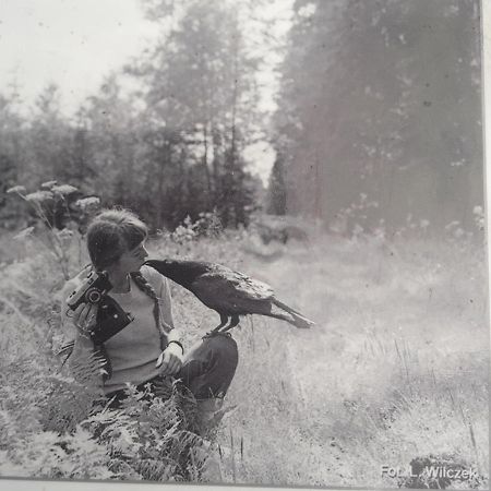 In Nature Białowieża Zewnętrze zdjęcie