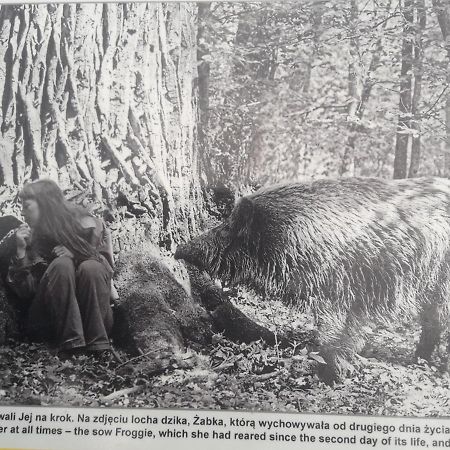 In Nature Białowieża Zewnętrze zdjęcie
