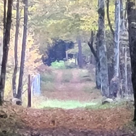 In Nature Białowieża Zewnętrze zdjęcie