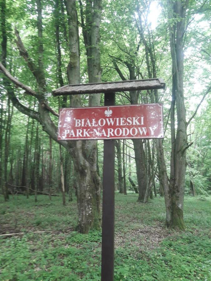 In Nature Białowieża Zewnętrze zdjęcie