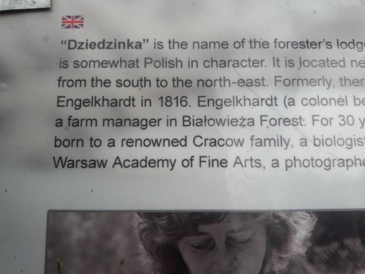In Nature Białowieża Zewnętrze zdjęcie