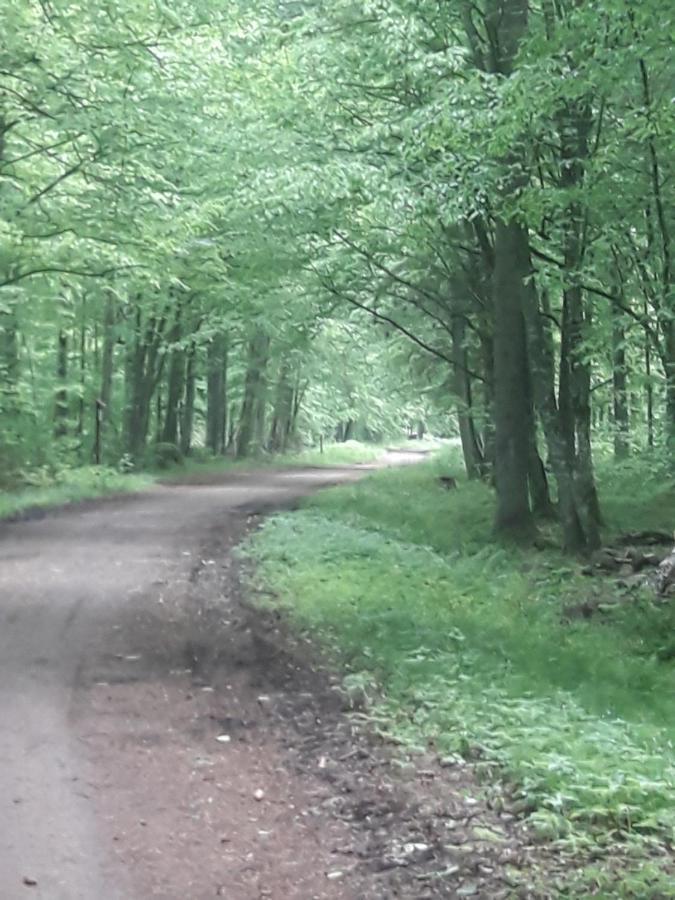 In Nature Białowieża Zewnętrze zdjęcie