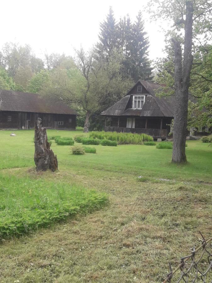In Nature Białowieża Zewnętrze zdjęcie