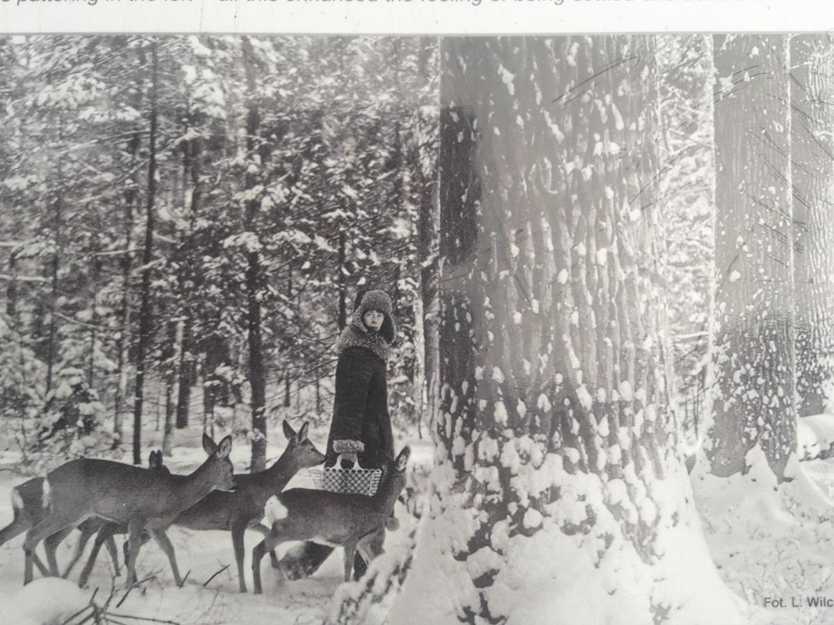In Nature Białowieża Zewnętrze zdjęcie