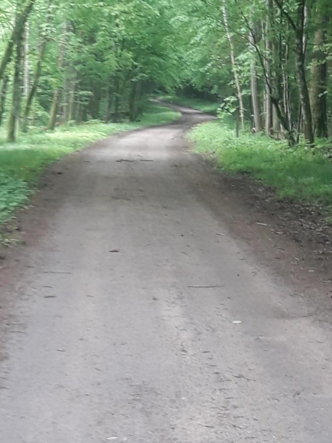 In Nature Białowieża Zewnętrze zdjęcie