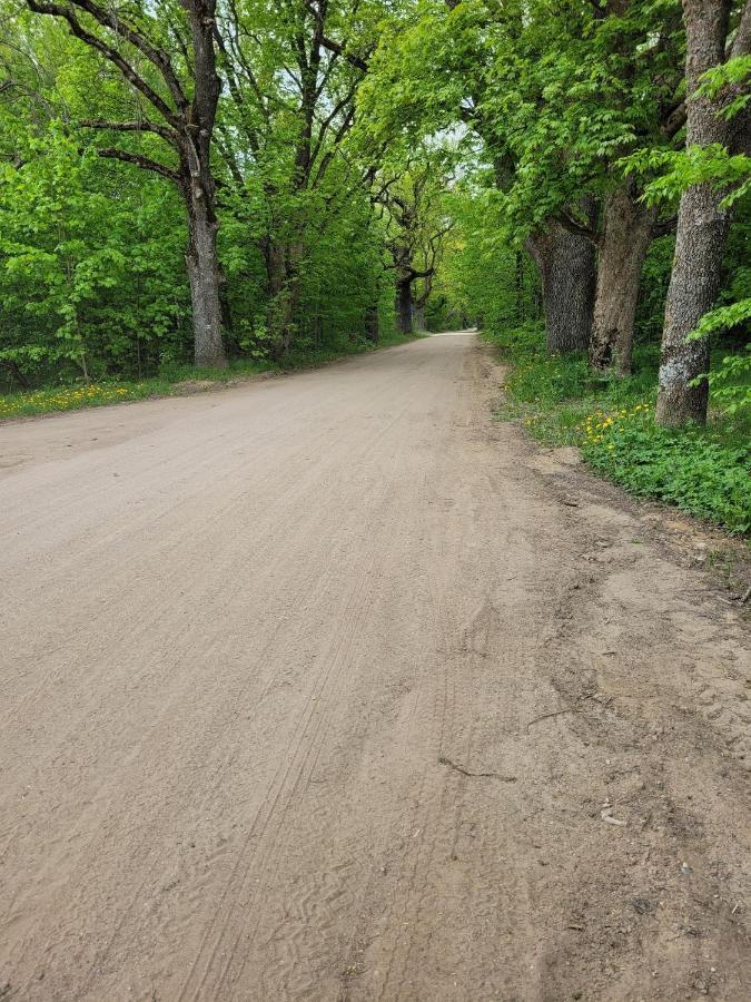 In Nature Białowieża Zewnętrze zdjęcie