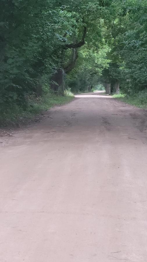 In Nature Białowieża Zewnętrze zdjęcie